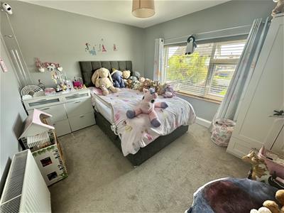 Picture 13